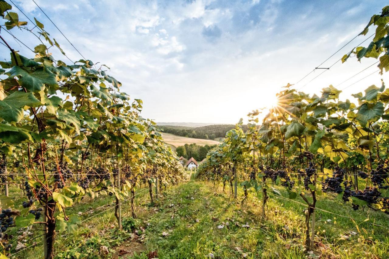 Wiener Kellerstoeckl - Das 13Er Eltendorf ภายนอก รูปภาพ