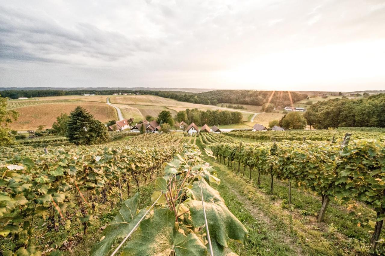 Wiener Kellerstoeckl - Das 13Er Eltendorf ภายนอก รูปภาพ